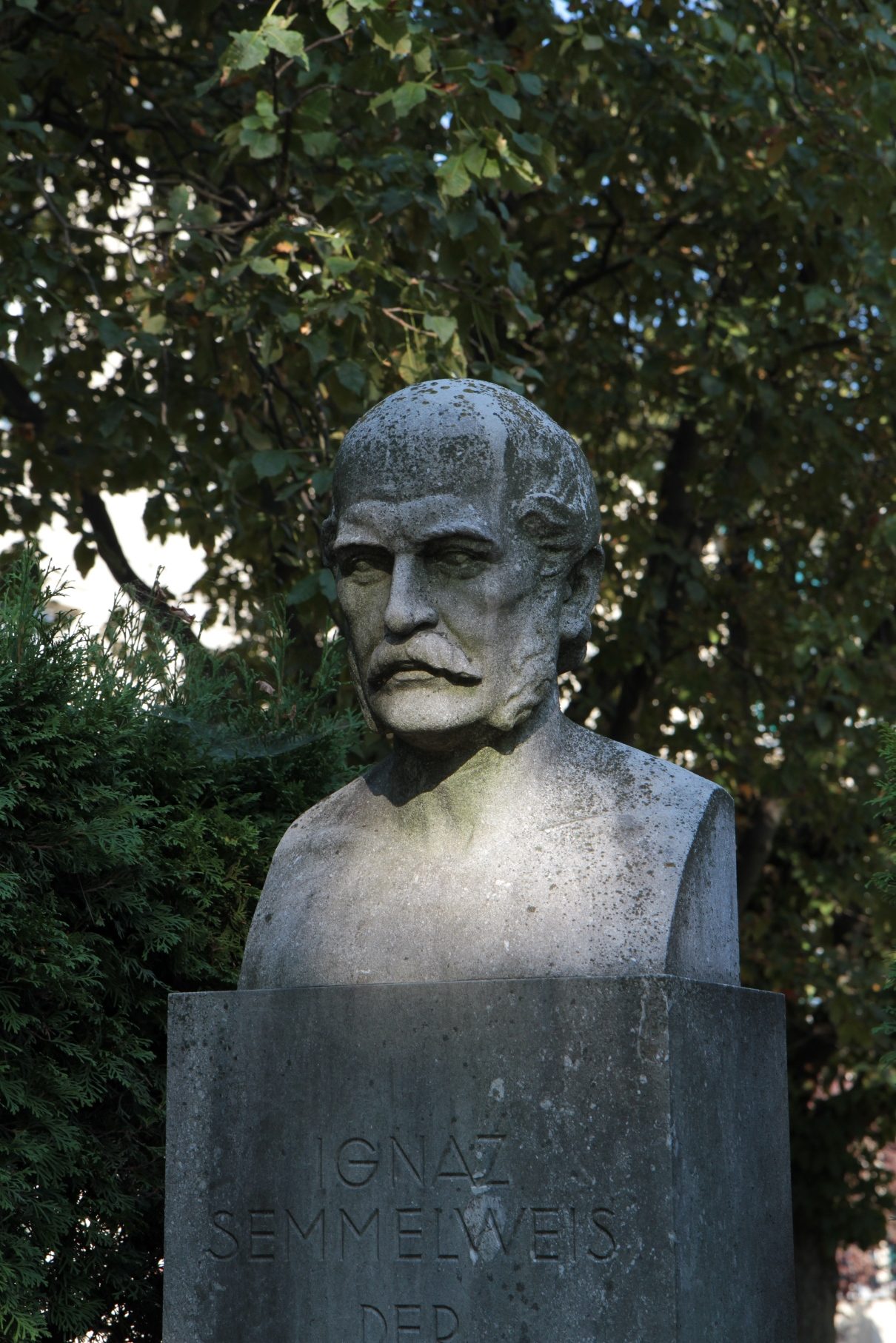 Semmelweis%27%20bust%2C%20Ignaz%20Semmelweis%20Frauenklinik%2C%20Vienna%20-%2003.JPG